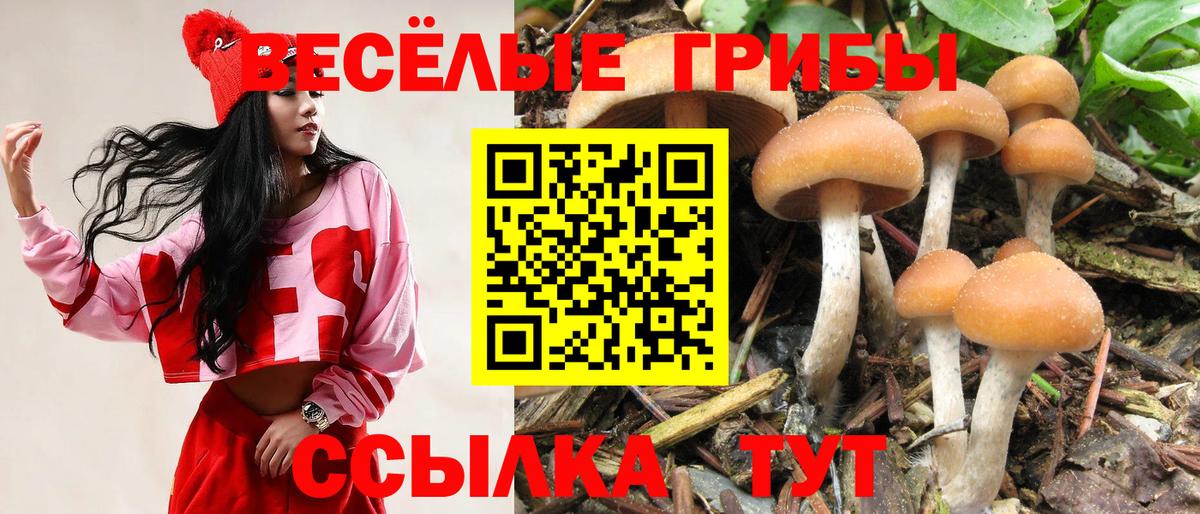 Псилоцибиновые грибы мицелий  Галлюциногенные грибы мицелий  Керчь  Вход с VPN 